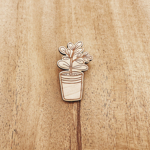 The Wooden Pin Ficus Plant Wooden Pin