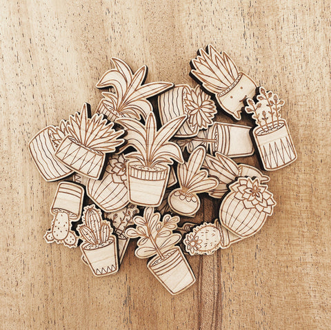 The Wooden Pin Ficus Plant Wooden Pin